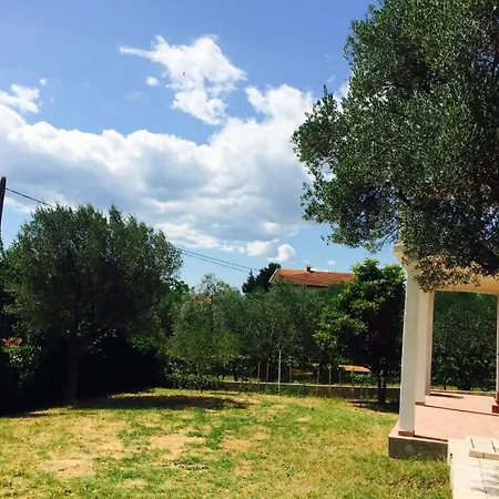 Sveti Flip *